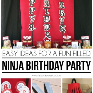 Ninja Birthday Party