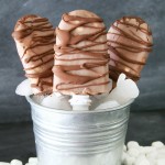 S’Mores Popsicles