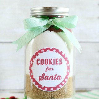 Cookies for Santa Jar Gift