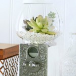 Gumball Machine Succulent Planter