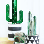 DIY Cactus Plants