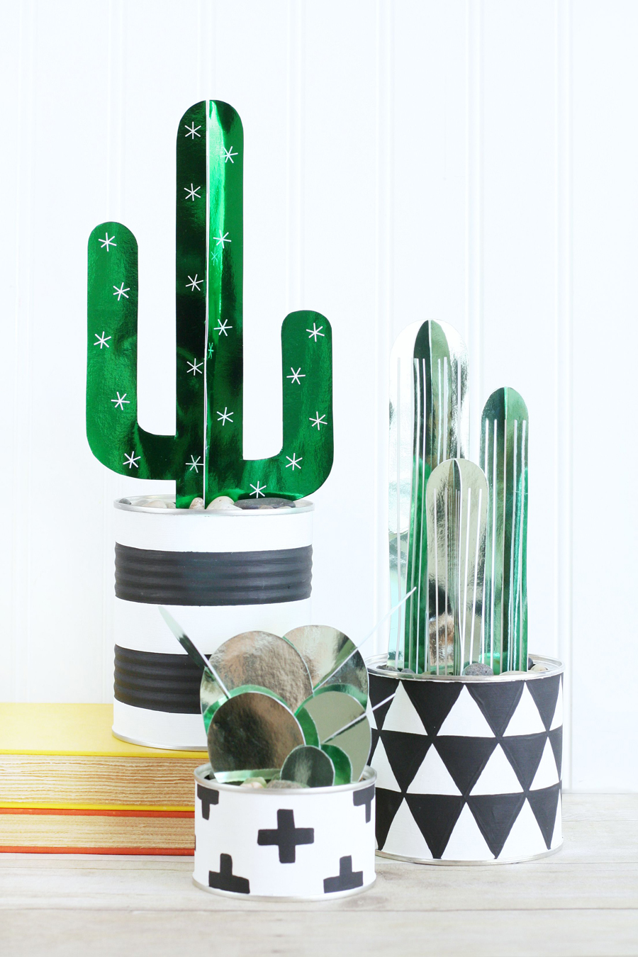 DIY Cactus Plants