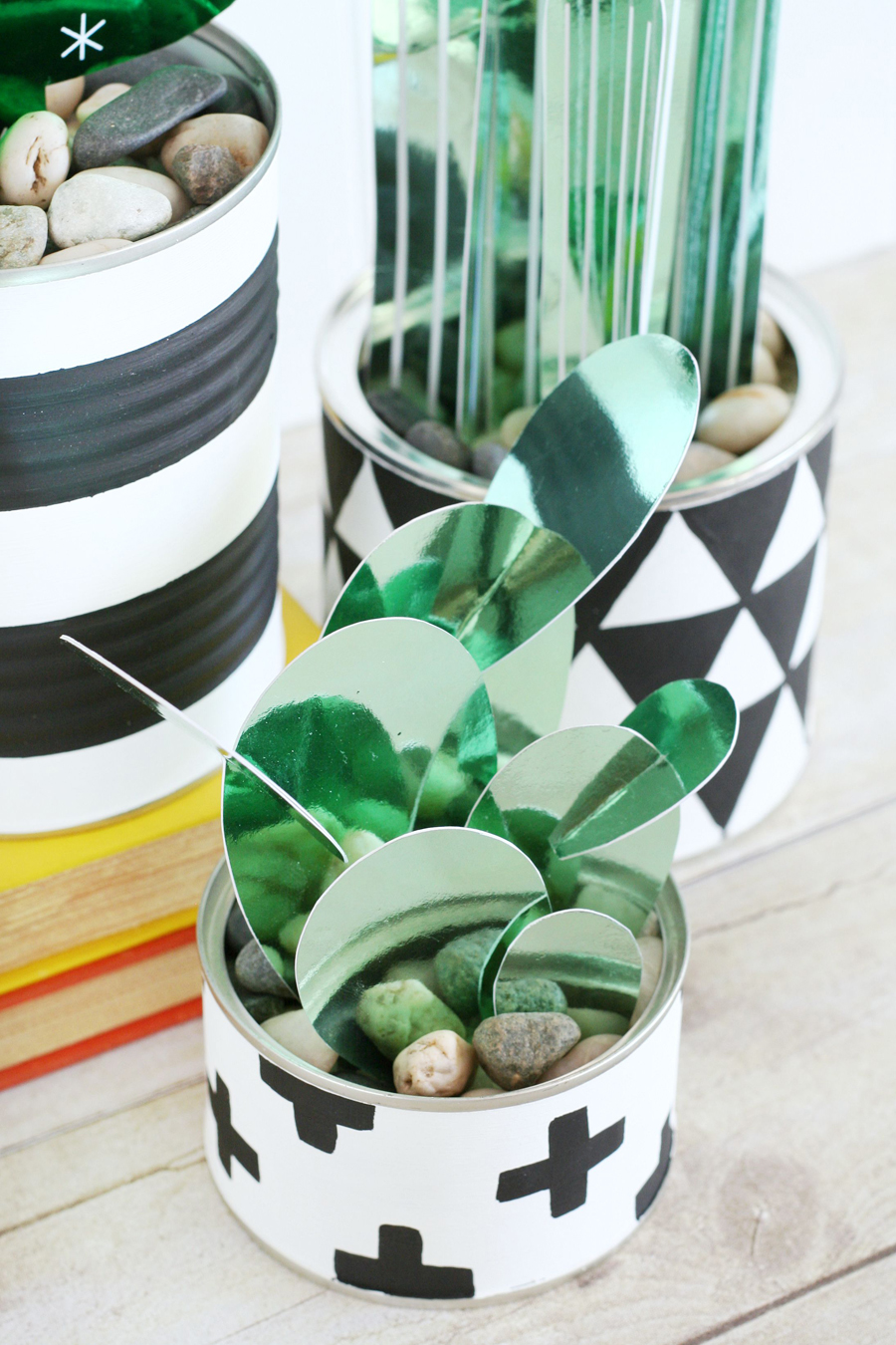 DIY Cactus Plants
