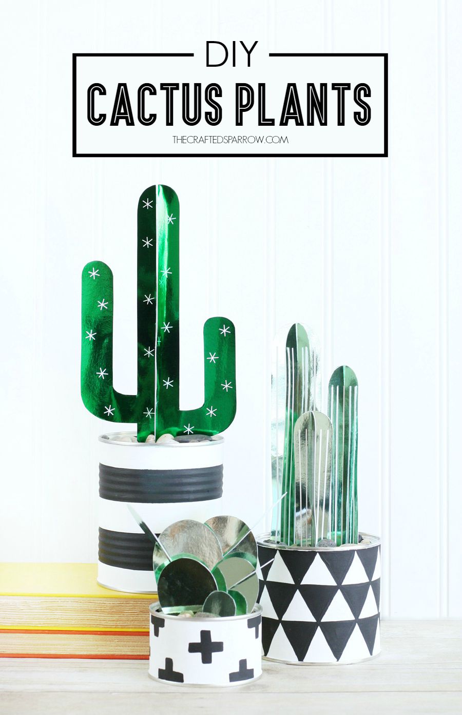 DIY Cactus Plants