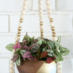 DIY Beaded Plant Hanger