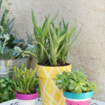 Summer Painted Planters