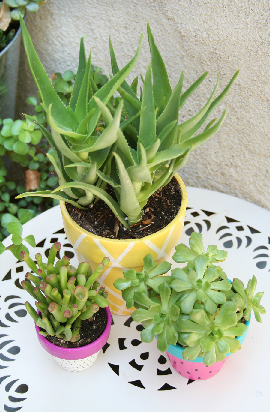 Summer Painted Planters 4