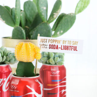 DIY Coca-Cola Succulent Gift Idea