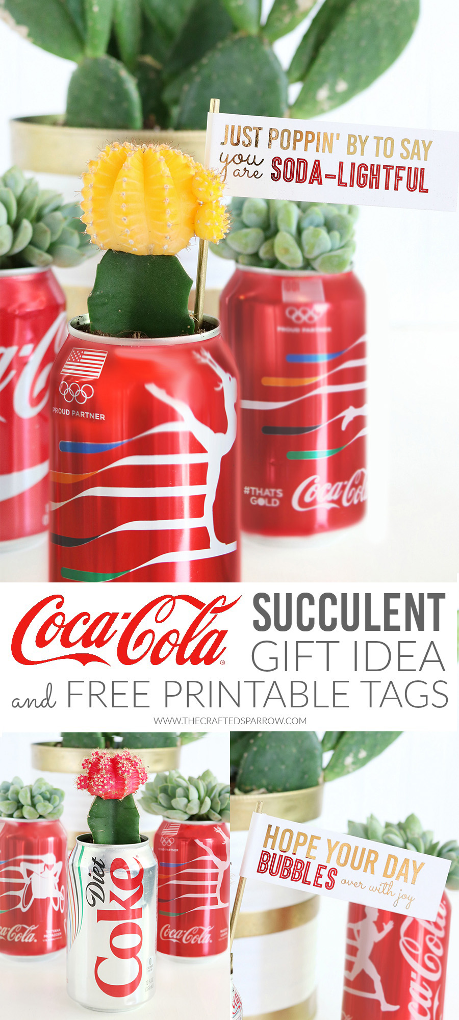 DIY Coca-Cola Succulent Gift Idea