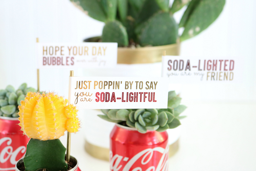 DIY Coca-Cola Succulent Gift Idea 