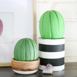 Foam Cactus Decor