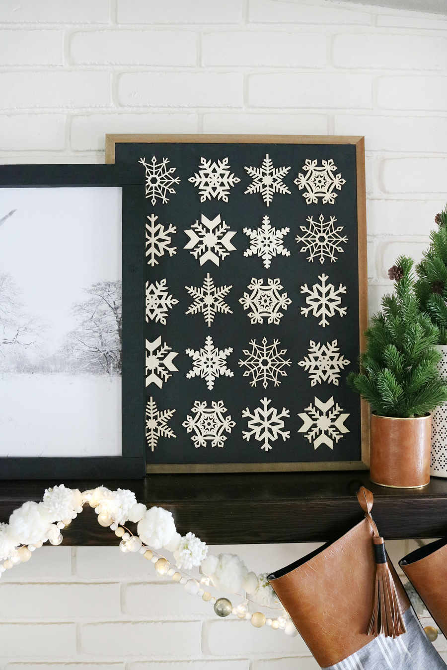 Easy DIY Snowflake Specimen Art