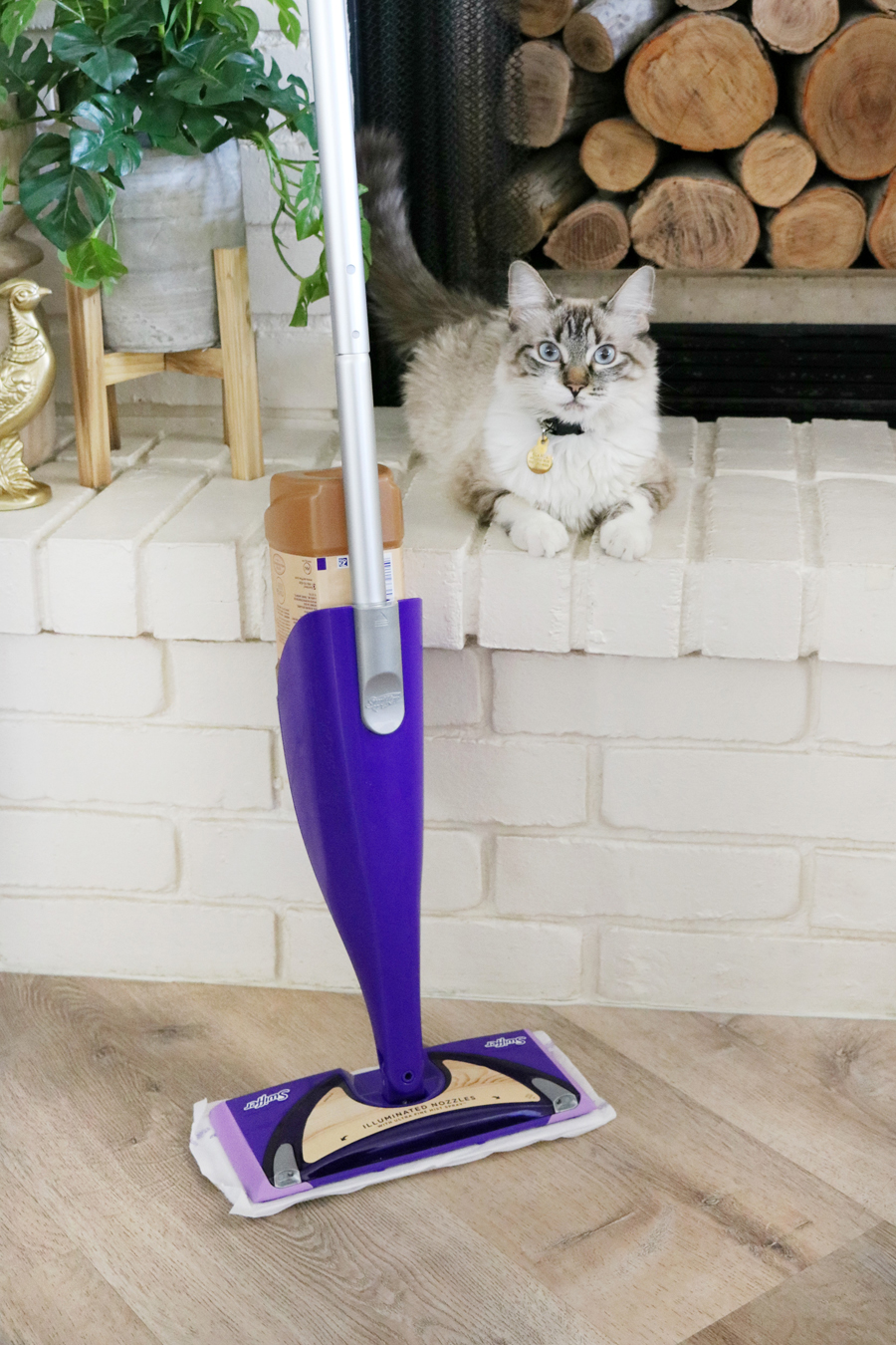 Swiffer WetJet Wood Cleaner - Ragdoll Cat